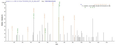Based on the SEQUEST from database of E.coli host and target protein, the LC-MS/MS Analysis result of this product could indicate that this peptide derived from E.coli-expressed Homo sapiens (Human) MAOB.Recombinant Human Amine Oxidase [Flavin-Containing] B (MAOB) Protein (His)