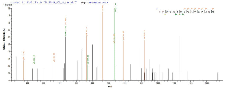 Based on the SEQUEST from database of E.coli host and target protein, the LC-MS/MS Analysis result of this product could indicate that this peptide derived from E.coli-expressed Homo sapiens (Human) MAOB.Recombinant Human Amine Oxidase [Flavin-Containing] B (MAOB) Protein (His)