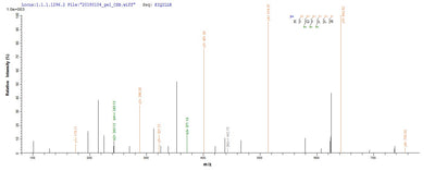 Based on the SEQUEST from database of E.coli host and target protein, the LC-MS/MS Analysis result of this product could indicate that this peptide derived from E.coli-expressed Homo sapiens (Human) MAPK3.Recombinant Human Mitogen-Activated Protein Kinase 3 (MAPK3) Protein (His)