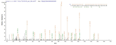 Based on the SEQUEST from database of E.coli host and target protein, the LC-MS/MS Analysis result of this product could indicate that this peptide derived from E.coli-expressed Homo sapiens (Human) MAPK3.Recombinant Human Mitogen-Activated Protein Kinase 3 (MAPK3) Protein (His)