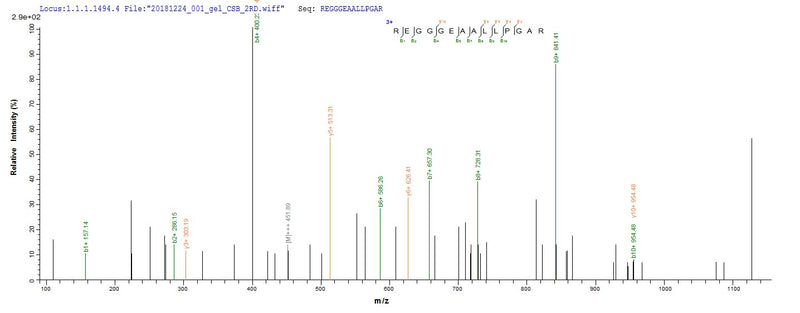 Based on the SEQUEST from database of E.coli host and target protein, the LC-MS/MS Analysis result of this product could indicate that this peptide derived from E.coli-expressed Mus musculus (Mouse) Mcl1.
