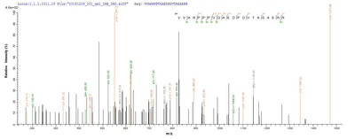 Based on the SEQUEST from database of E.coli host and target protein, the LC-MS/MS Analysis result of this product could indicate that this peptide derived from E.coli-expressed Mus musculus (Mouse) Mcl1.