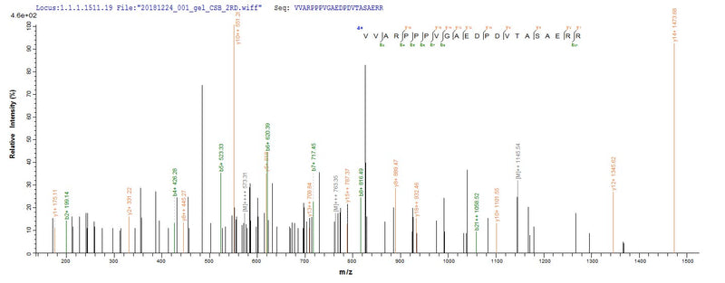 Based on the SEQUEST from database of E.coli host and target protein, the LC-MS/MS Analysis result of this product could indicate that this peptide derived from E.coli-expressed Mus musculus (Mouse) Mcl1.