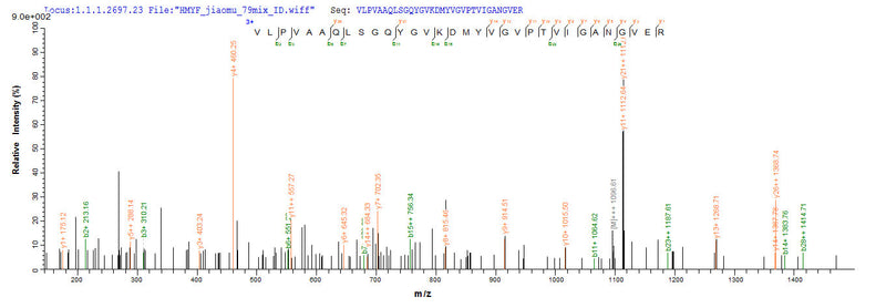 Based on the SEQUEST from database of E.coli host and target protein, the LC-MS/MS Analysis result of this product could indicate that this peptide derived from E.coli-expressed Brucella abortus (strain S19) mdh.