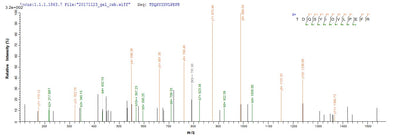 Based on the SEQUEST from database of E.coli host and target protein, the LC-MS/MS Analysis result of this product could indicate that this peptide derived from E.coli-expressed Homo sapiens (Human) MET.Recombinant Human Hepatocyte Growth Factor Receptor (MET) Protein (His)