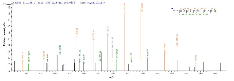 Based on the SEQUEST from database of E.coli host and target protein, the LC-MS/MS Analysis result of this product could indicate that this peptide derived from E.coli-expressed Homo sapiens (Human) MET.Recombinant Human Hepatocyte Growth Factor Receptor (MET) Protein (His)