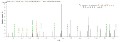 Based on the SEQUEST from database of E.coli host and target protein, the LC-MS/MS Analysis result of this product could indicate that this peptide derived from E.coli-expressed Homo sapiens (Human) MET.Recombinant Human Hepatocyte Growth Factor Receptor (MET) Protein (His)