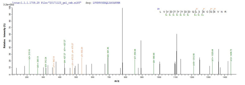 Based on the SEQUEST from database of E.coli host and target protein, the LC-MS/MS Analysis result of this product could indicate that this peptide derived from E.coli-expressed Homo sapiens (Human) MET.Recombinant Human Hepatocyte Growth Factor Receptor (MET) Protein (His)