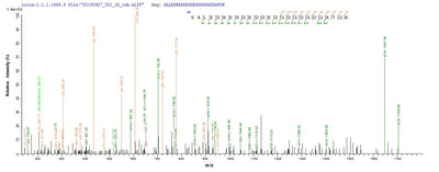 Based on the SEQUEST from database of E.coli host and target protein, the LC-MS/MS Analysis result of this product could indicate that this peptide derived from E.coli-expressed Homo sapiens (Human) METAP2.