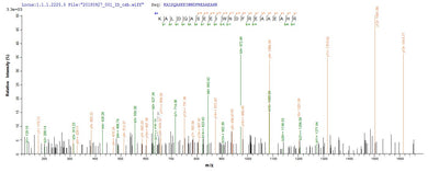 Based on the SEQUEST from database of E.coli host and target protein, the LC-MS/MS Analysis result of this product could indicate that this peptide derived from E.coli-expressed Homo sapiens (Human) METAP2.