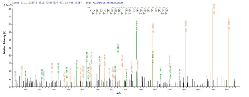 Based on the SEQUEST from database of E.coli host and target protein, the LC-MS/MS Analysis result of this product could indicate that this peptide derived from E.coli-expressed Homo sapiens (Human) METAP2.