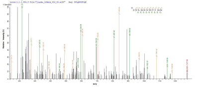 Based on the SEQUEST from database of E.coli host and target protein, the LC-MS/MS Analysis result of this product could indicate that this peptide derived from E.coli-expressed Mus musculus (Mouse) Mgll.Recombinant Mouse Monoglyceride Lipase (MGLL) Protein (His-SUMO)