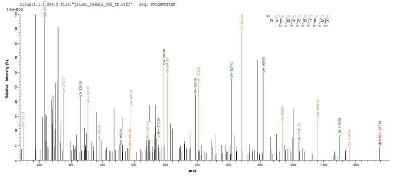 Based on the SEQUEST from database of E.coli host and target protein, the LC-MS/MS Analysis result of this product could indicate that this peptide derived from E.coli-expressed Mus musculus (Mouse) Mgll.Recombinant Mouse Monoglyceride Lipase (MGLL) Protein (His-SUMO)