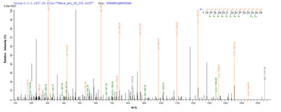 Based on the SEQUEST from database of E.coli host and target protein, the LC-MS/MS Analysis result of this product could indicate that this peptide derived from E.coli-expressed Homo sapiens (Human) MKI67.Recombinant Human Proliferation Marker Protein Ki-67 (MKI67) Protein (His-SUMO)