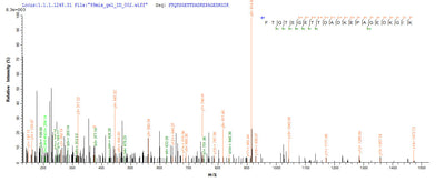 Based on the SEQUEST from database of E.coli host and target protein, the LC-MS/MS Analysis result of this product could indicate that this peptide derived from E.coli-expressed Homo sapiens (Human) MKI67.Recombinant Human Proliferation Marker Protein Ki-67 (MKI67) Protein (His-SUMO)