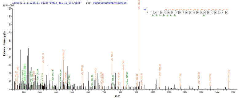 Based on the SEQUEST from database of E.coli host and target protein, the LC-MS/MS Analysis result of this product could indicate that this peptide derived from E.coli-expressed Homo sapiens (Human) MKI67.Recombinant Human Proliferation Marker Protein Ki-67 (MKI67) Protein (His-SUMO)
