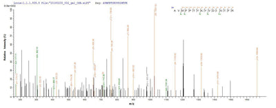 Based on the SEQUEST from database of E.coli host and target protein, the LC-MS/MS Analysis result of this product could indicate that this peptide derived from E.coli-expressed Homo sapiens (Human) MMP12.Recombinant Human Macrophage Metalloelastase (MMP12) Protein (His)