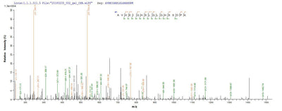 Based on the SEQUEST from database of E.coli host and target protein, the LC-MS/MS Analysis result of this product could indicate that this peptide derived from E.coli-expressed Homo sapiens (Human) MMP12.Recombinant Human Macrophage Metalloelastase (MMP12) Protein (His)