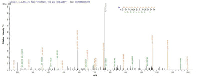 Based on the SEQUEST from database of E.coli host and target protein, the LC-MS/MS Analysis result of this product could indicate that this peptide derived from E.coli-expressed Homo sapiens (Human) MMP14.Recombinant Human Matrix Metalloproteinase-14 (MMP14) Protein (His-SUMO)
