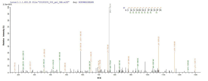 Based on the SEQUEST from database of E.coli host and target protein, the LC-MS/MS Analysis result of this product could indicate that this peptide derived from E.coli-expressed Homo sapiens (Human) MMP14.Recombinant Human Matrix Metalloproteinase-14 (MMP14) Protein (His-SUMO)