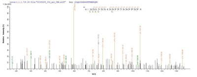 Based on the SEQUEST from database of E.coli host and target protein, the LC-MS/MS Analysis result of this product could indicate that this peptide derived from E.coli-expressed Homo sapiens (Human) MMP14.Recombinant Human Matrix Metalloproteinase-14 (MMP14) Protein (His-SUMO)
