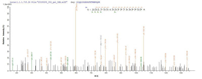 Based on the SEQUEST from database of E.coli host and target protein, the LC-MS/MS Analysis result of this product could indicate that this peptide derived from E.coli-expressed Homo sapiens (Human) MMP14.