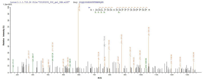 Based on the SEQUEST from database of E.coli host and target protein, the LC-MS/MS Analysis result of this product could indicate that this peptide derived from E.coli-expressed Homo sapiens (Human) MMP14.Recombinant Human Matrix Metalloproteinase-14 (MMP14) Protein (His-SUMO)