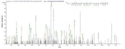 Based on the SEQUEST from database of E.coli host and target protein, the LC-MS/MS Analysis result of this product could indicate that this peptide derived from E.coli-expressed Homo sapiens (Human) MMP20.Recombinant Human Matrix Metalloproteinase-20 (MMP20) Protein (His&Myc)