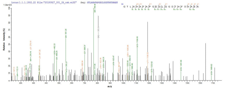Based on the SEQUEST from database of E.coli host and target protein, the LC-MS/MS Analysis result of this product could indicate that this peptide derived from E.coli-expressed Homo sapiens (Human) MMP20.Recombinant Human Matrix Metalloproteinase-20 (MMP20) Protein (His&Myc)