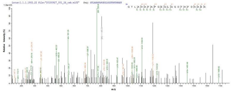 Based on the SEQUEST from database of E.coli host and target protein, the LC-MS/MS Analysis result of this product could indicate that this peptide derived from E.coli-expressed Homo sapiens (Human) MMP20.