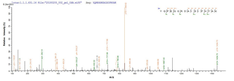Based on the SEQUEST from database of E.coli host and target protein, the LC-MS/MS Analysis result of this product could indicate that this peptide derived from E.coli-expressed Homo sapiens (Human) MPZ.Recombinant Human Myelin Protein P0 (MPZ) Protein (His)