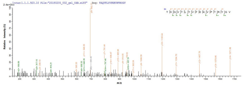 Based on the SEQUEST from database of E.coli host and target protein, the LC-MS/MS Analysis result of this product could indicate that this peptide derived from E.coli-expressed Homo sapiens (Human) MPZ.Recombinant Human Myelin Protein P0 (MPZ) Protein (His)