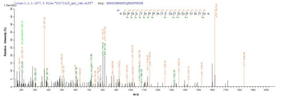 Based on the SEQUEST from database of E.coli host and target protein, the LC-MS/MS Analysis result of this product could indicate that this peptide derived from E.coli-expressed Homo sapiens (Human) MRC1.Recombinant Human Macrophage Mannose Receptor 1 (MRC1) Protein (His)