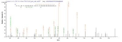 Based on the SEQUEST from database of E.coli host and target protein, the LC-MS/MS Analysis result of this product could indicate that this peptide derived from E.coli-expressed Homo sapiens (Human) MRC1.Recombinant Human Macrophage Mannose Receptor 1 (MRC1) Protein (His)