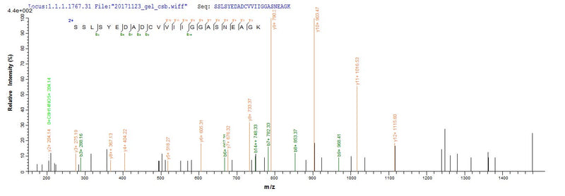 Based on the SEQUEST from database of E.coli host and target protein, the LC-MS/MS Analysis result of this product could indicate that this peptide derived from E.coli-expressed Homo sapiens (Human) MRC1.Recombinant Human Macrophage Mannose Receptor 1 (MRC1) Protein (His)