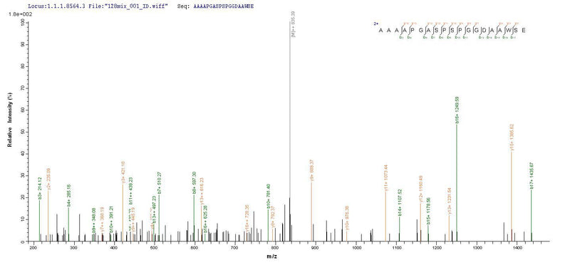 Based on the SEQUEST from database of E.coli host and target protein, the LC-MS/MS Analysis result of this product could indicate that this peptide derived from E.coli-expressed Homo sapiens (Human) MSH6.