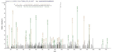 Based on the SEQUEST from database of E.coli host and target protein, the LC-MS/MS Analysis result of this product could indicate that this peptide derived from E.coli-expressed Homo sapiens (Human) MSH6.