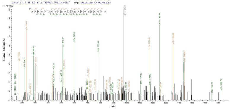 Based on the SEQUEST from database of E.coli host and target protein, the LC-MS/MS Analysis result of this product could indicate that this peptide derived from E.coli-expressed Homo sapiens (Human) MSH6.
