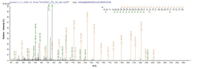 Based on the SEQUEST from database of E.coli host and target protein, the LC-MS/MS Analysis result of this product could indicate that this peptide derived from E.coli-expressed Homo sapiens (Human) MUC2.Recombinant Human Mucin-2 (MUC2) Protein (His-SUMO)