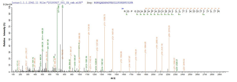 Based on the SEQUEST from database of E.coli host and target protein, the LC-MS/MS Analysis result of this product could indicate that this peptide derived from E.coli-expressed Homo sapiens (Human) MUC2.Recombinant Human Mucin-2 (MUC2) Protein (His-SUMO)