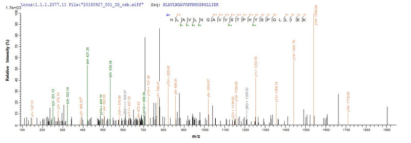 Based on the SEQUEST from database of E.coli host and target protein, the LC-MS/MS Analysis result of this product could indicate that this peptide derived from E.coli-expressed Homo sapiens (Human) MUC2.Recombinant Human Mucin-2 (MUC2) Protein (His-SUMO)