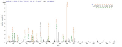 Based on the SEQUEST from database of E.coli host and target protein, the LC-MS/MS Analysis result of this product could indicate that this peptide derived from E.coli-expressed Mus musculus (Mouse) Mut.Recombinant Mouse Methylmalonyl-Coa Mutase, Mitochondrial (MMUT) Protein (His)