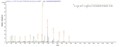 Based on the SEQUEST from database of E.coli host and target protein, the LC-MS/MS Analysis result of this product could indicate that this peptide derived from E.coli-expressed Mus musculus (Mouse) Mut.Recombinant Mouse Methylmalonyl-Coa Mutase, Mitochondrial (MMUT) Protein (His)