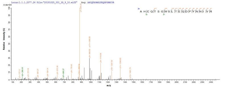 Based on the SEQUEST from database of E.coli host and target protein, the LC-MS/MS Analysis result of this product could indicate that this peptide derived from E.coli-expressed Mus musculus (Mouse) Mut.Recombinant Mouse Methylmalonyl-Coa Mutase, Mitochondrial (MMUT) Protein (His)