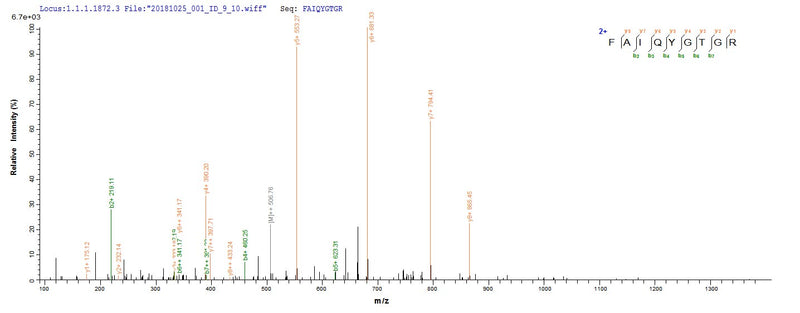 Based on the SEQUEST from database of E.coli host and target protein, the LC-MS/MS Analysis result of this product could indicate that this peptide derived from E.coli-expressed Homo sapiens (Human) NAPSA .Recombinant Human Napsin-A (NAPSA) Protein (His)