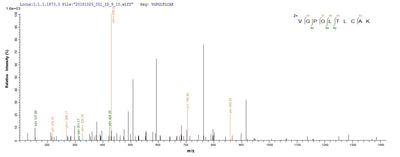 Based on the SEQUEST from database of E.coli host and target protein, the LC-MS/MS Analysis result of this product could indicate that this peptide derived from E.coli-expressed Homo sapiens (Human) NAPSA .Recombinant Human Napsin-A (NAPSA) Protein (His)