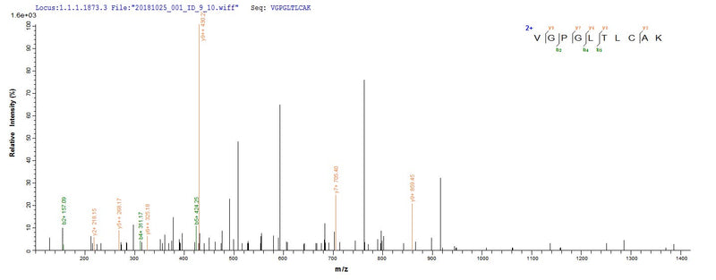 Based on the SEQUEST from database of E.coli host and target protein, the LC-MS/MS Analysis result of this product could indicate that this peptide derived from E.coli-expressed Homo sapiens (Human) NAPSA .Recombinant Human Napsin-A (NAPSA) Protein (His)