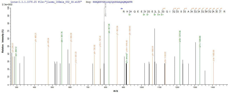 Based on the SEQUEST from database of E.coli host and target protein, the LC-MS/MS Analysis result of this product could indicate that this peptide derived from E.coli-expressed Homo sapiens (Human) NEFH.Recombinant Human Neurofilament Heavy Polypeptide (NEFH) Protein (His-SUMO&Myc)