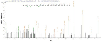 Based on the SEQUEST from database of E.coli host and target protein, the LC-MS/MS Analysis result of this product could indicate that this peptide derived from E.coli-expressed Homo sapiens (Human) NEFH.Recombinant Human Neurofilament Heavy Polypeptide (NEFH) Protein (His-SUMO&Myc)