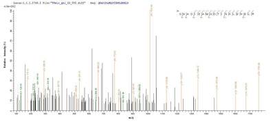 Based on the SEQUEST from database of E.coli host and target protein, the LC-MS/MS Analysis result of this product could indicate that this peptide derived from E.coli-expressed Homo sapiens (Human) NEFL.Recombinant Human Neurofilament Light Polypeptide (NEFL) Protein (His-SUMO&Myc)